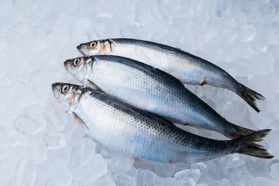 Herrings
