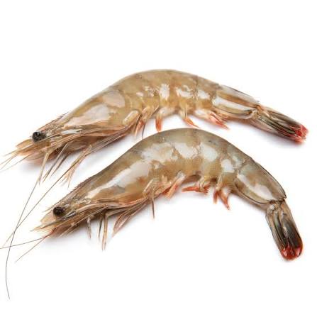 Prawns